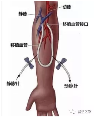1608786062666719.jpg 1608786043(1).jpg